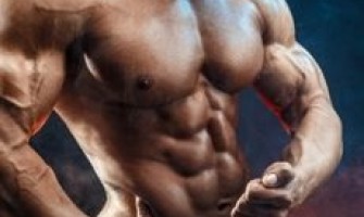 Bulk Nedir ? Clean Bulk Dirty Bulk ve Definasyon